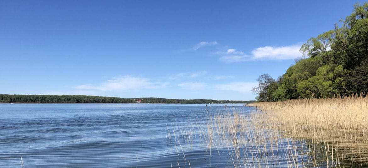 Scharmützelsee-April 2019