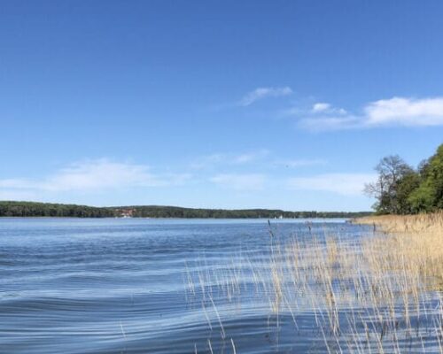 Scharmützelsee-April 2019